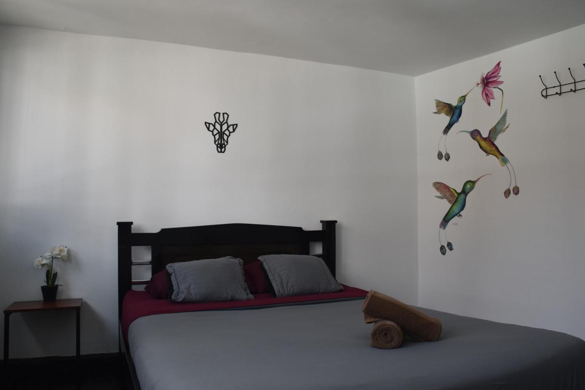 Celavi Hostel モングイ エクステリア 写真